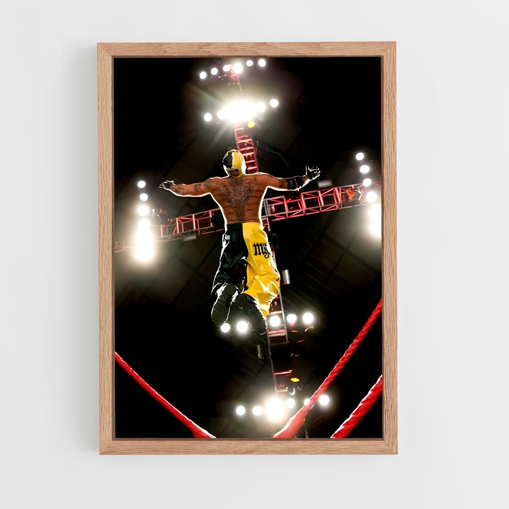 Poster Vol Suspendu (vue 4)